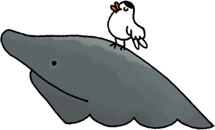 Brugden med en måke på